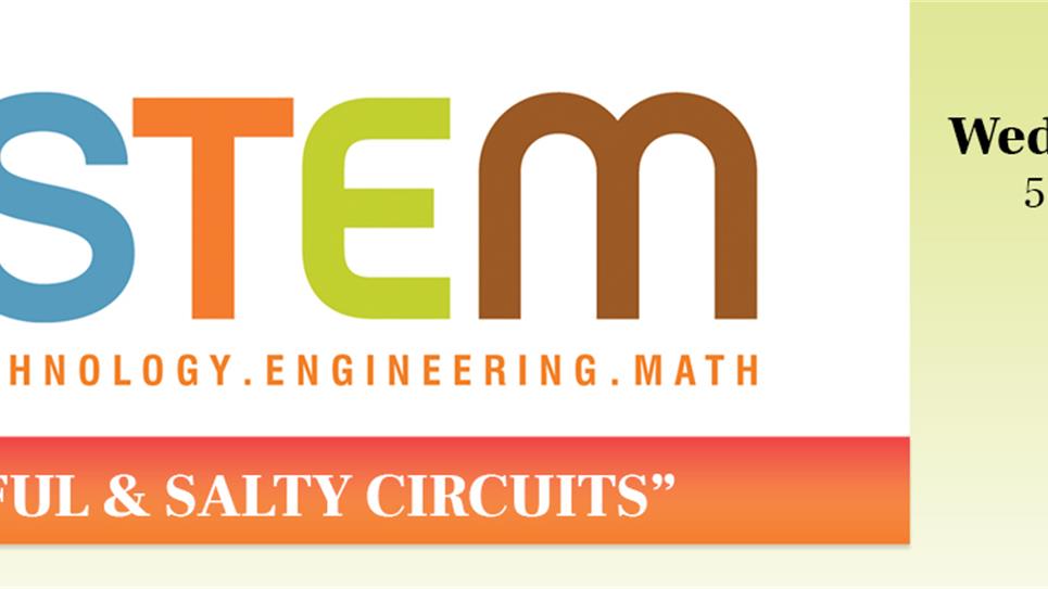 STEM: Colorful & Salty Circuits