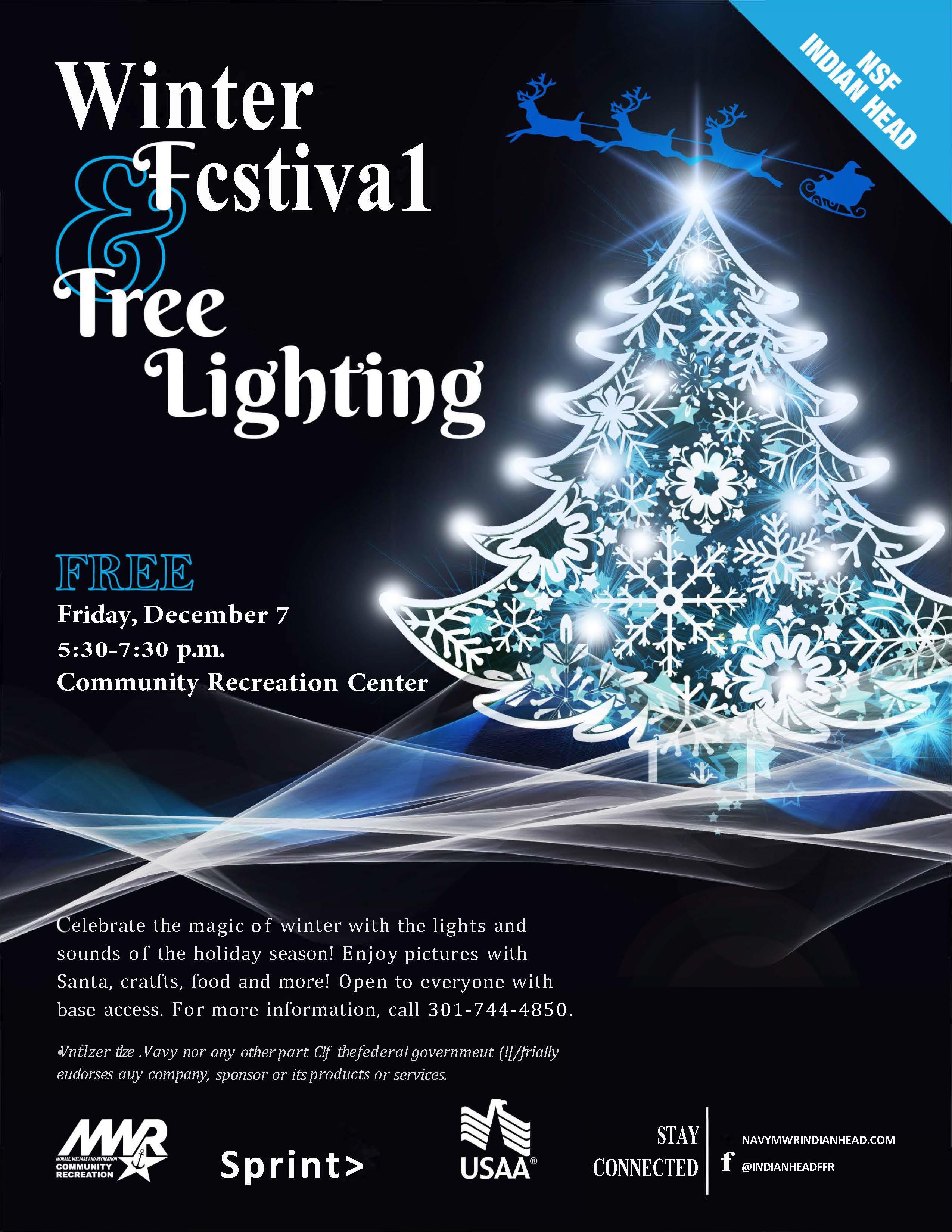 Winter Festival & Tree Lighting (IHD-191-18).jpg